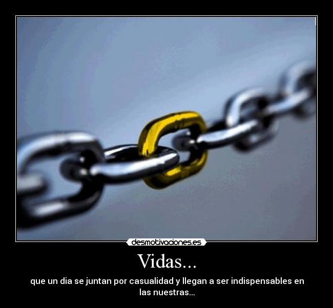 Vidas... - que un dia se juntan por casualidad y llegan a ser indispensables en las nuestras...