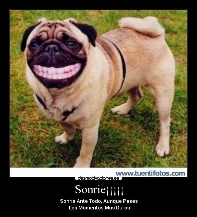 Sonrie¡¡¡¡¡ - Sonrie Ante Todo, Aunque Pases
Los Momentos Mas Duros