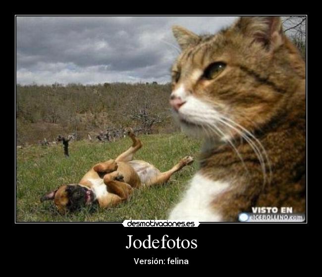 Jodefotos - Versión: felina