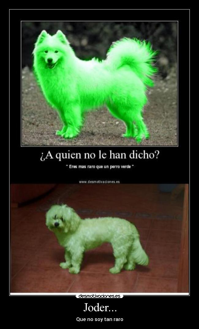 Joder... - Que no soy tan raro