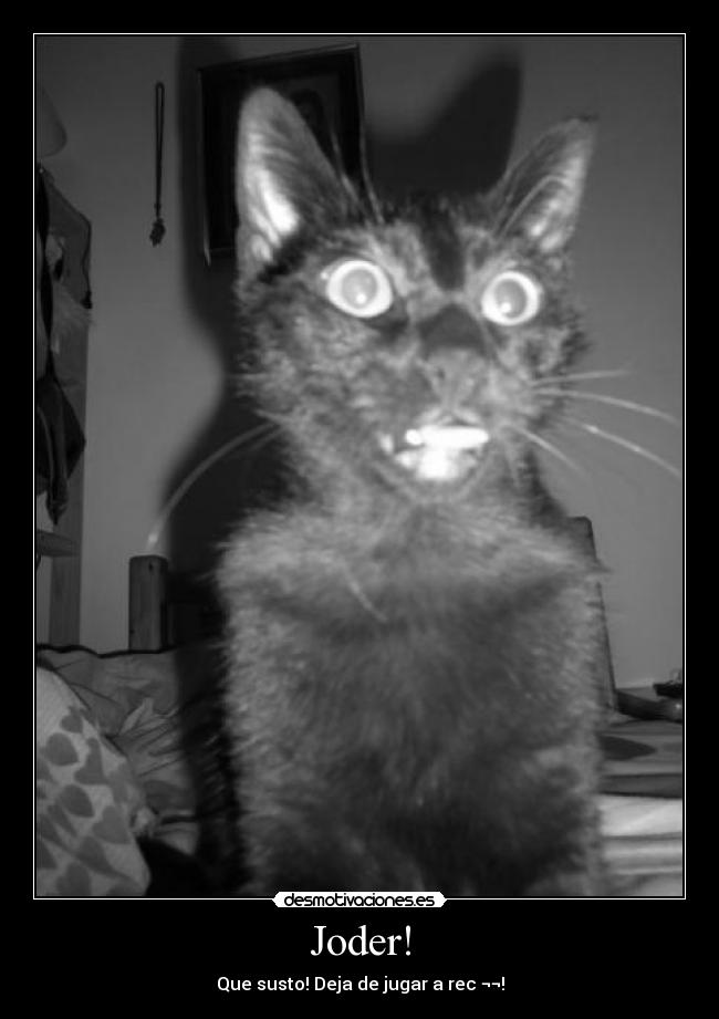 Joder! - Que susto! Deja de jugar a rec ¬¬!