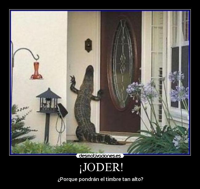 ¡JODER! - ¿Porque pondrán el timbre tan alto?
