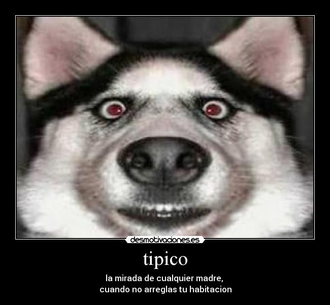 tipico - 