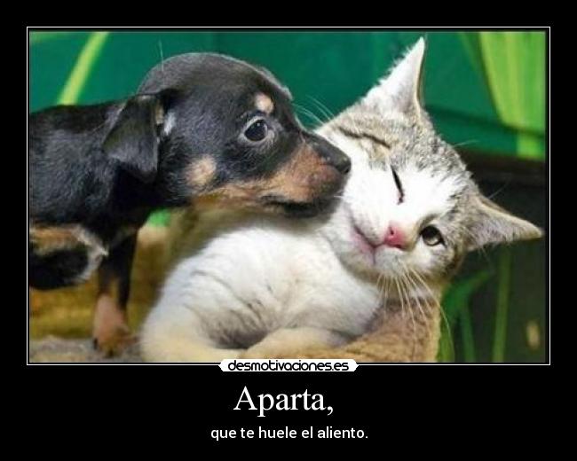Aparta, - que te huele el aliento.