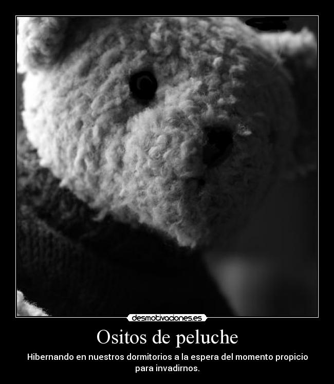 Ositos de peluche - 