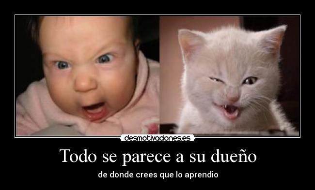 Todo se parece a su dueño - de donde crees que lo aprendio