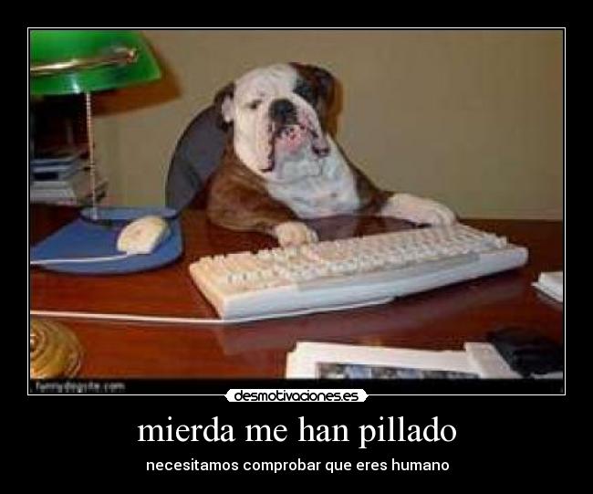 mierda me han pillado - 