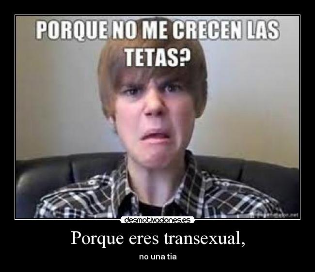 carteles justin bieber transexual tia desmotivaciones