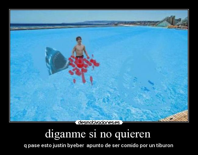 diganme si no quieren - q pase esto justin byeber apunto de ser comido por un tiburon