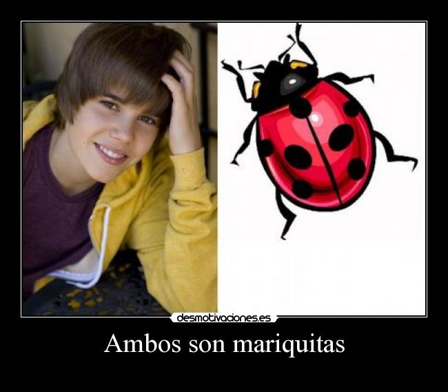 Ambos son mariquitas -