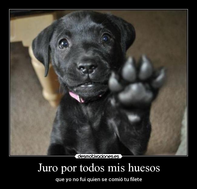 Juro por todos mis huesos - 