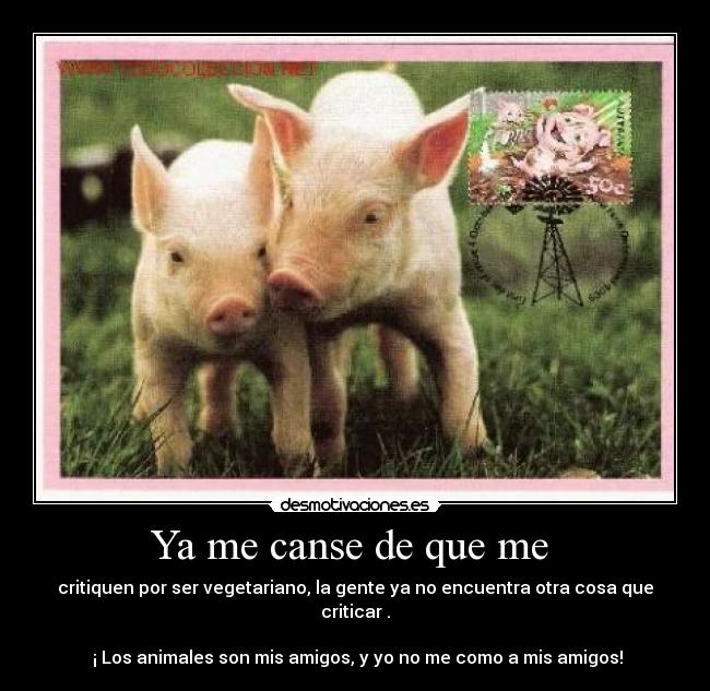 Ya me canse de que me  - critiquen por ser vegetariano, la gente ya no encuentra otra cosa que criticar .

 ¡ Los animales son mis amigos, y yo no me como a mis amigos!