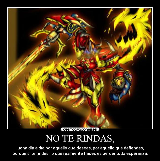 NO TE RINDAS, -