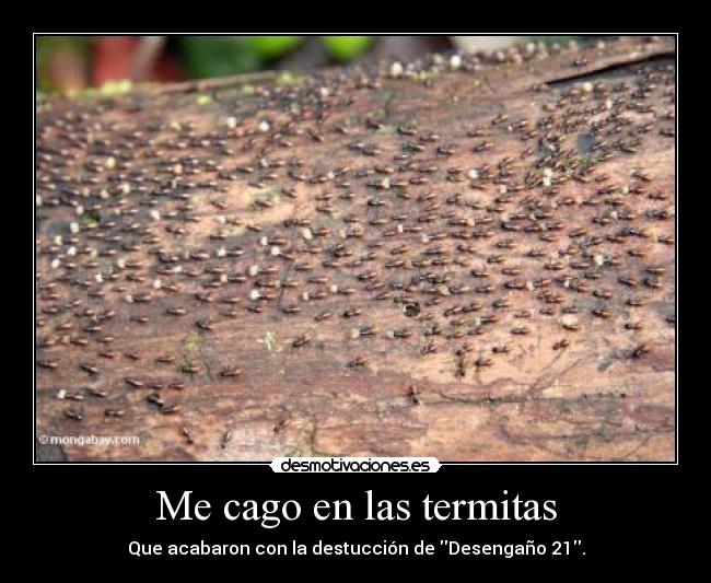 Me cago en las termitas - Que acabaron con la destucción de Desengaño 21.