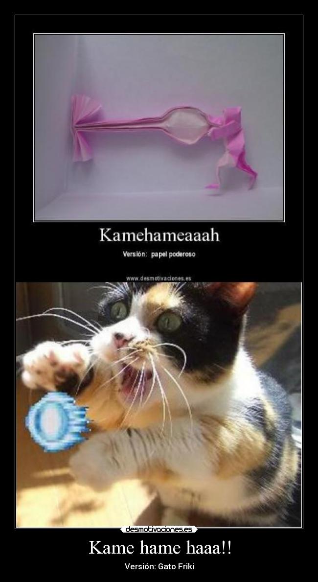 Kame hame haaa!! - Versión: Gato Friki