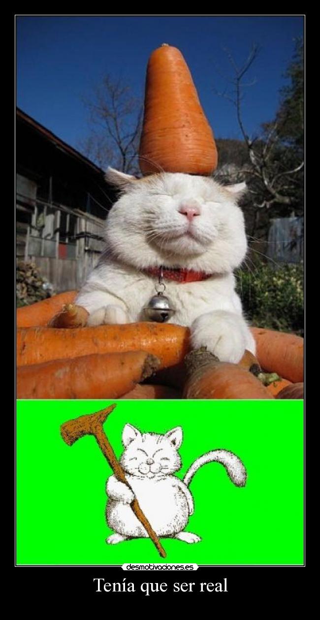 Tenía que ser real -