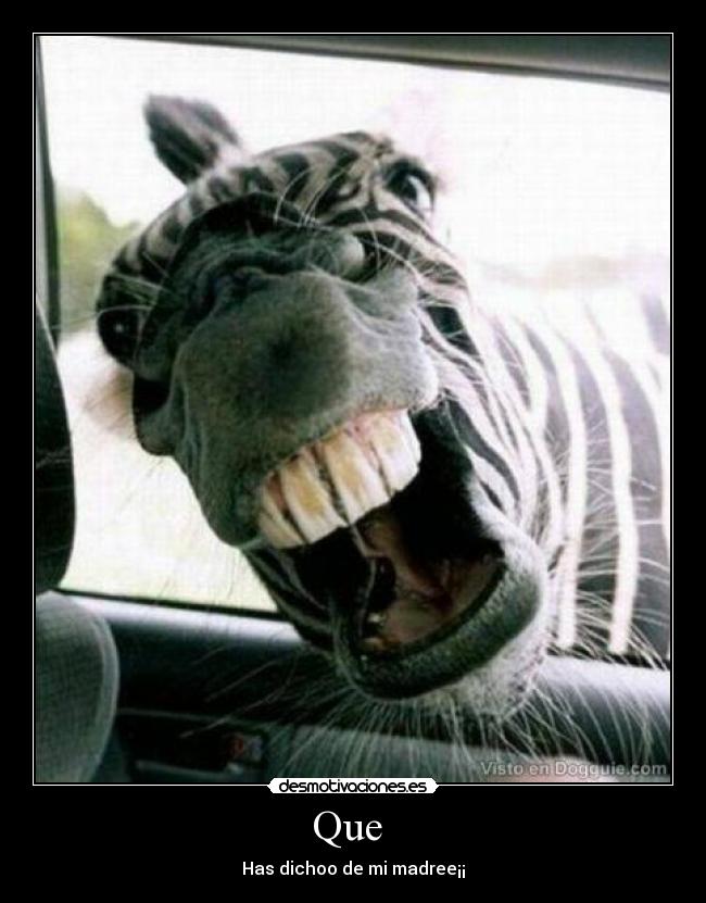 carteles kuiikii desmotivaciones