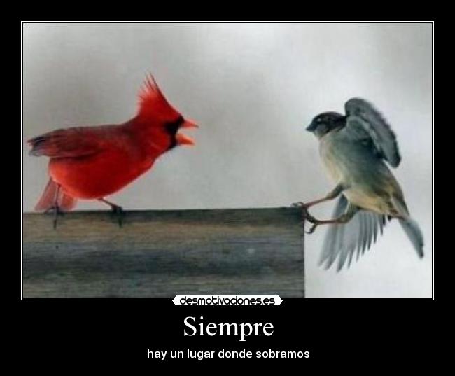 Siempre -