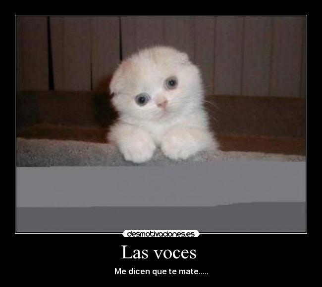 Las voces  - Me dicen que te mate.....