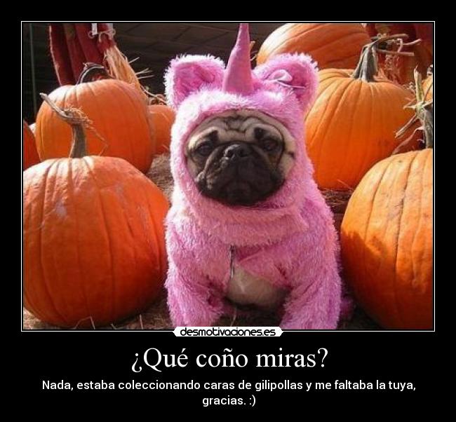 ¿Qué coño miras? - Nada, estaba coleccionando caras de gilipollas y me faltaba la tuya, gracias. :)