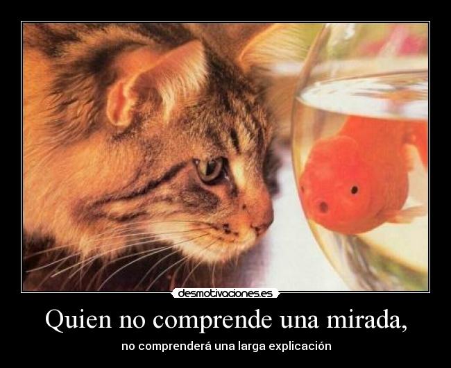 Quien no comprende una mirada, - 