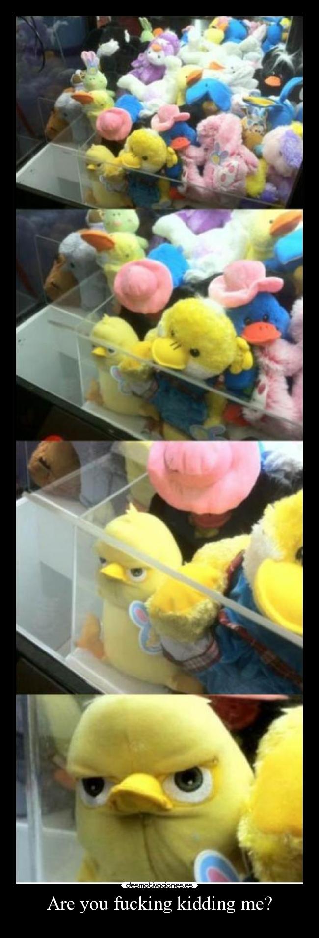 Are you fucking kidding me? - 