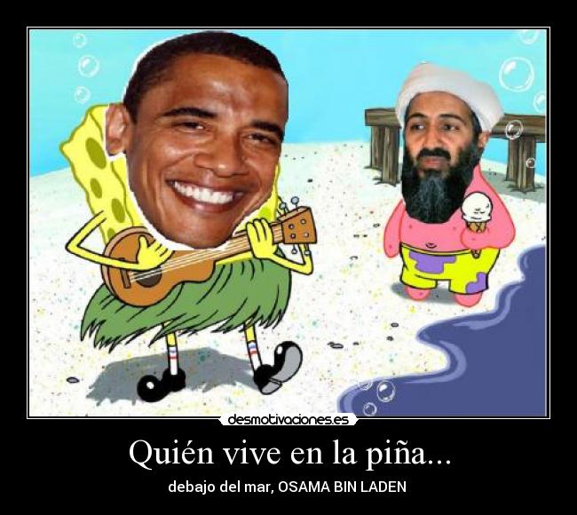 Quién vive en la piña... - 