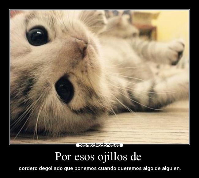 Por esos ojillos de - cordero degollado que ponemos cuando queremos algo de alguien.