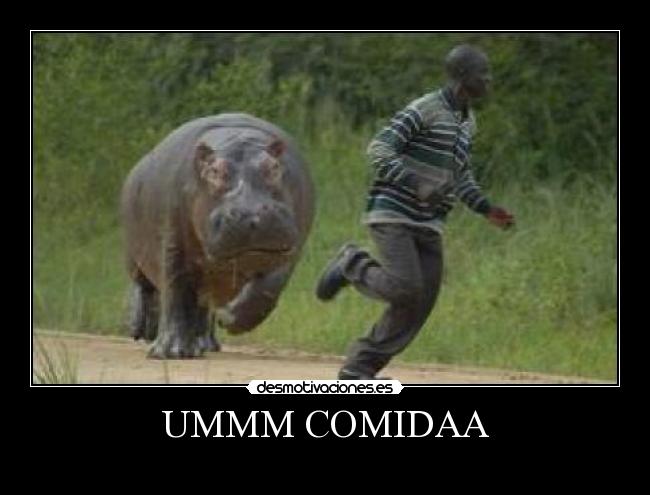 UMMM COMIDAA -