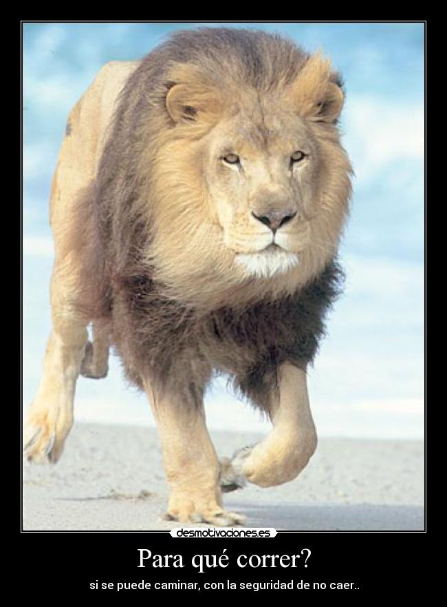 Para qué correr? - si se puede caminar, con la seguridad de no caer..