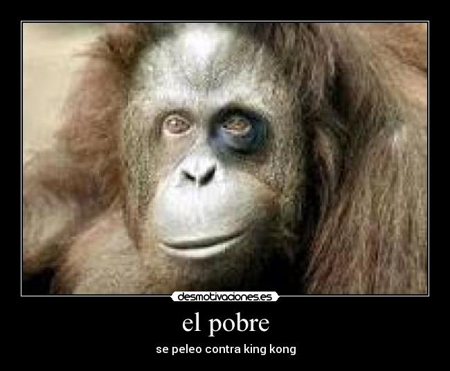 el pobre - se peleo contra king kong