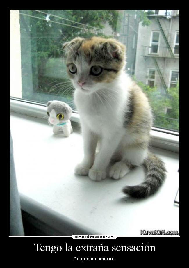 carteles dddd desmotivaciones