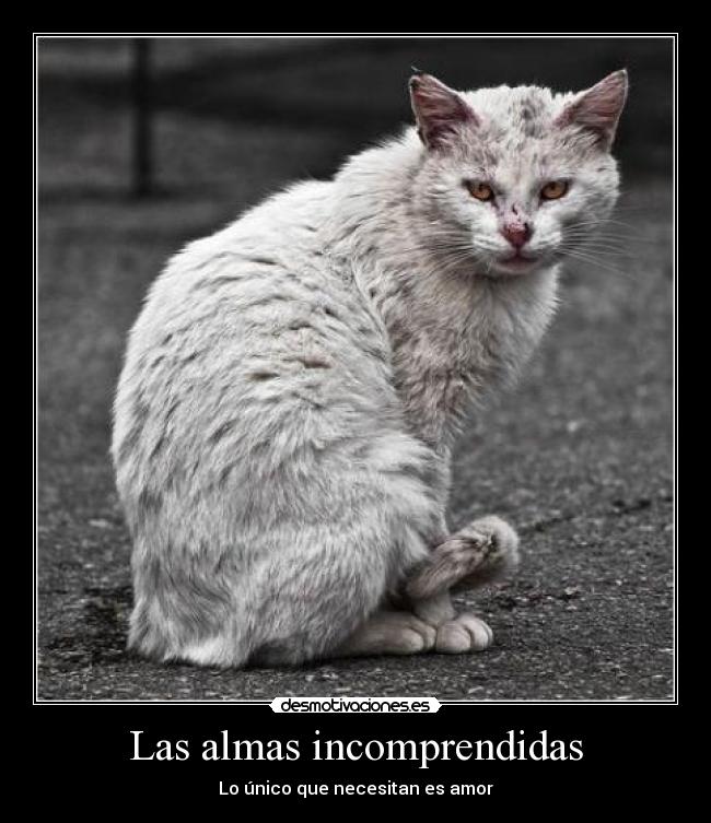 Las almas incomprendidas -