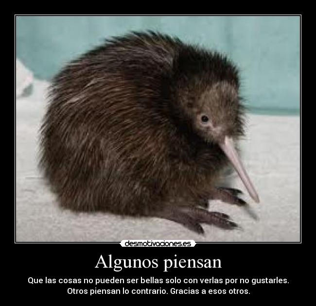 carteles belleza desmotivaciones