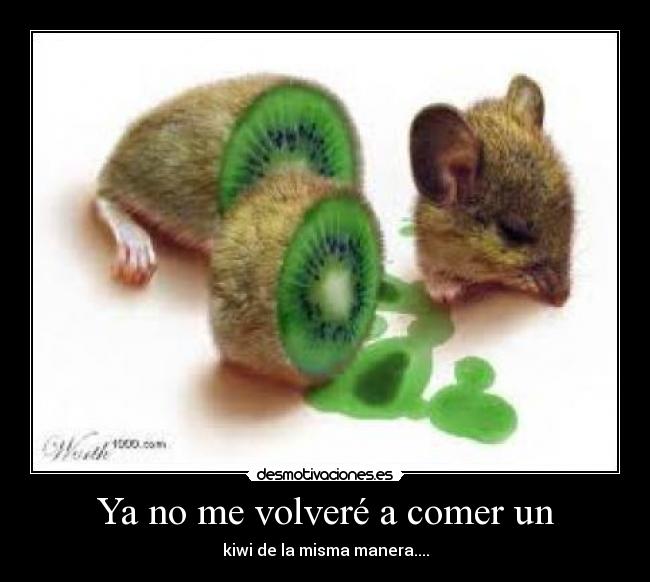 Ya no me volveré a comer un - kiwi de la misma manera....