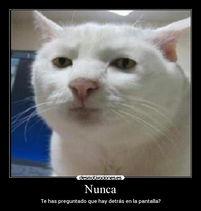 Nunca -