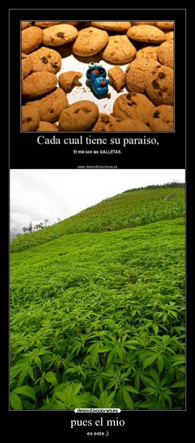 pues el mio - es este ;)