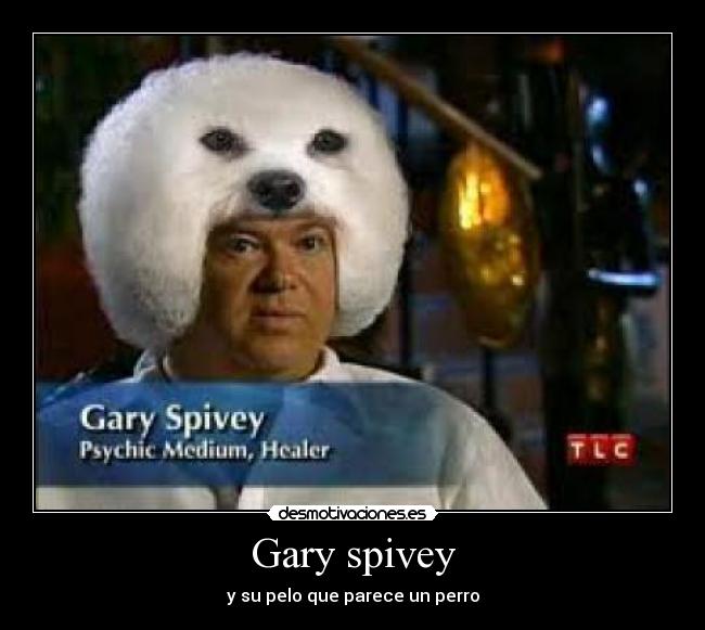 Gary spivey - y su pelo que parece un perro