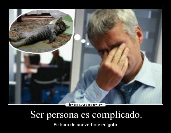 Ser persona es complicado. - Es hora de convertirse en gato.