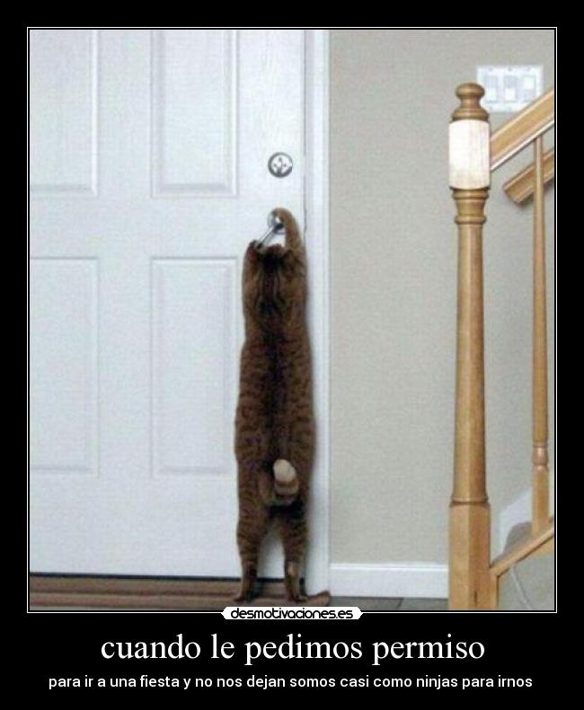 cuando le pedimos permiso - para ir a una fiesta y no nos dejan somos casi como ninjas para irnos