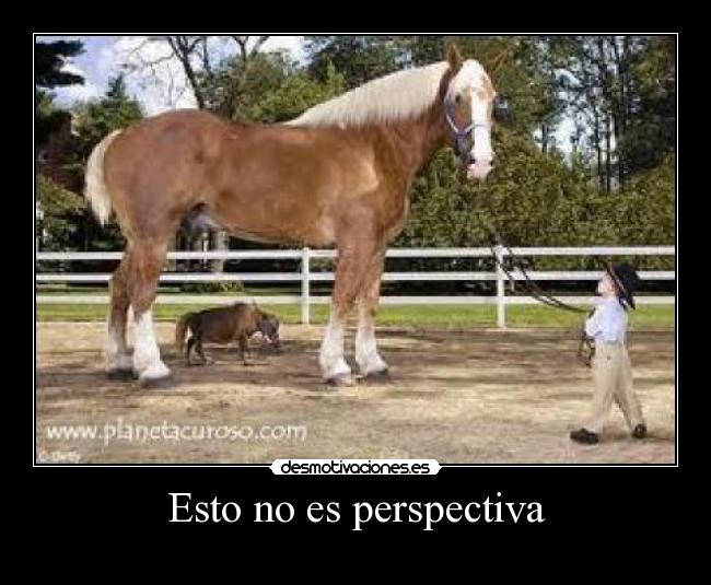 Esto no es perspectiva - 