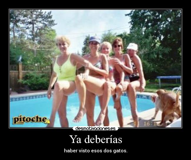 Ya deberías - haber visto esos dos gatos.