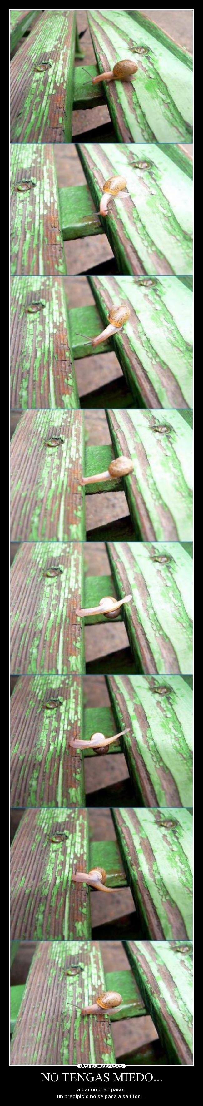 NO TENGAS MIEDO... - 