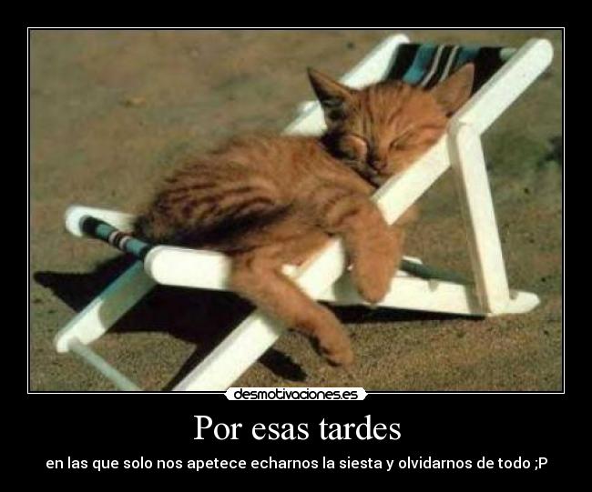 Por esas tardes -