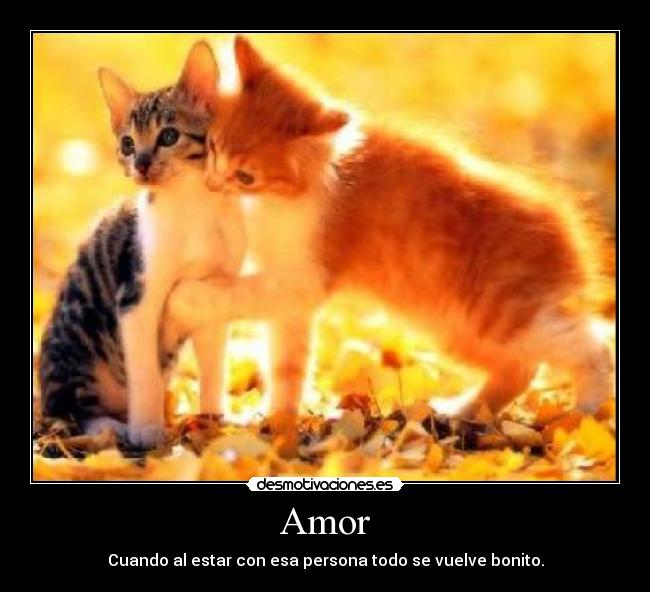 Amor -