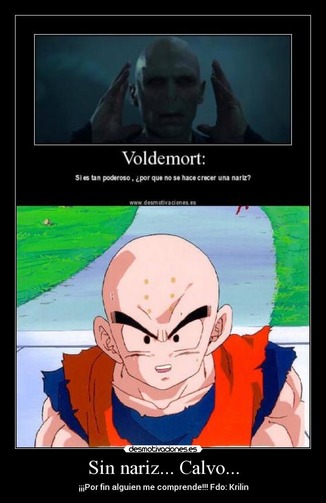 carteles krilin voldemort desmotivaciones