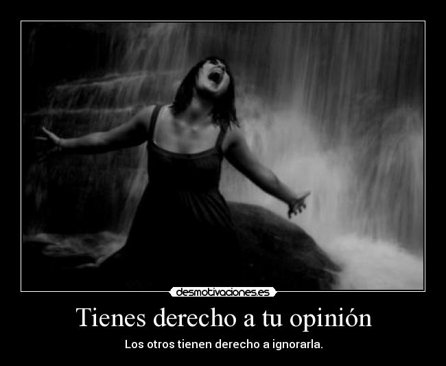 Tienes derecho a tu opinión -