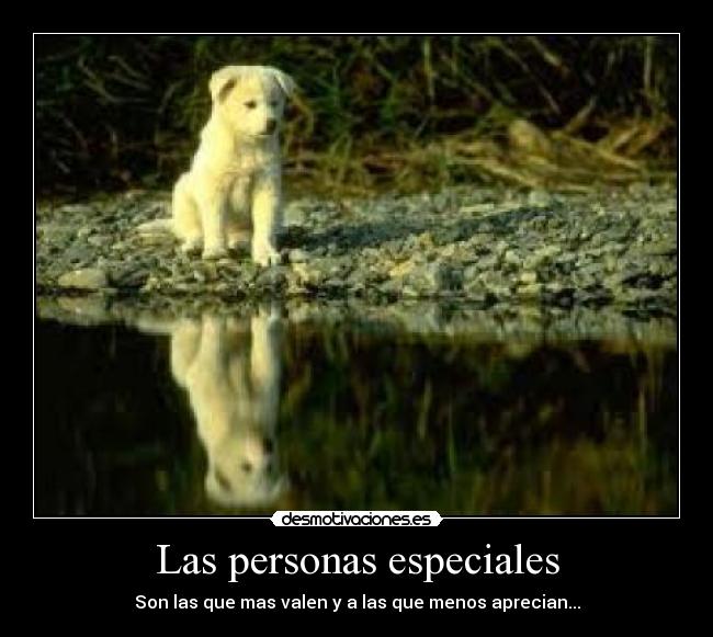 Las personas especiales - Son las que mas valen y a las que menos aprecian...
