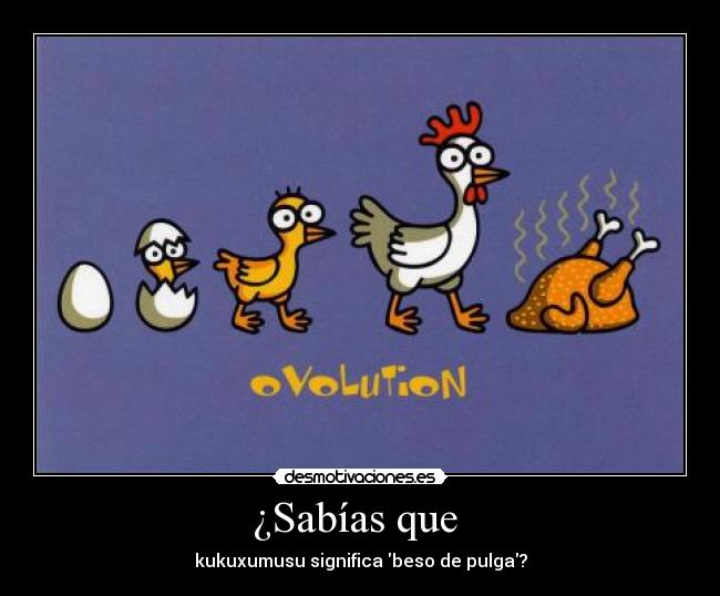 ¿Sabías que - kukuxumusu significa beso de pulga?