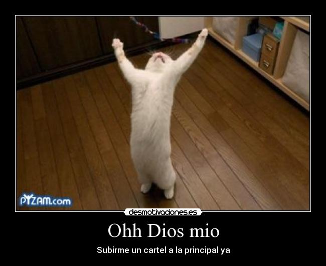 Ohh Dios mio - Subirme un cartel a la principal ya